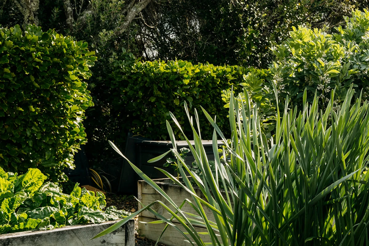 peninsula-club-arvida-11266