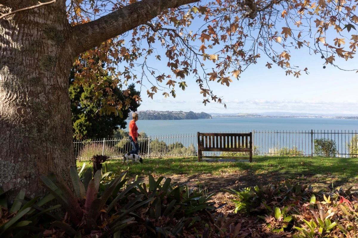 pinesong-metlifecare-5753