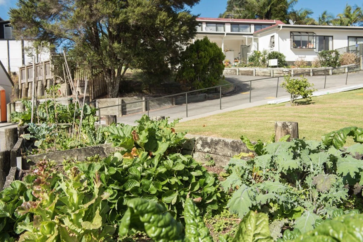 powley-metlifecare-5768