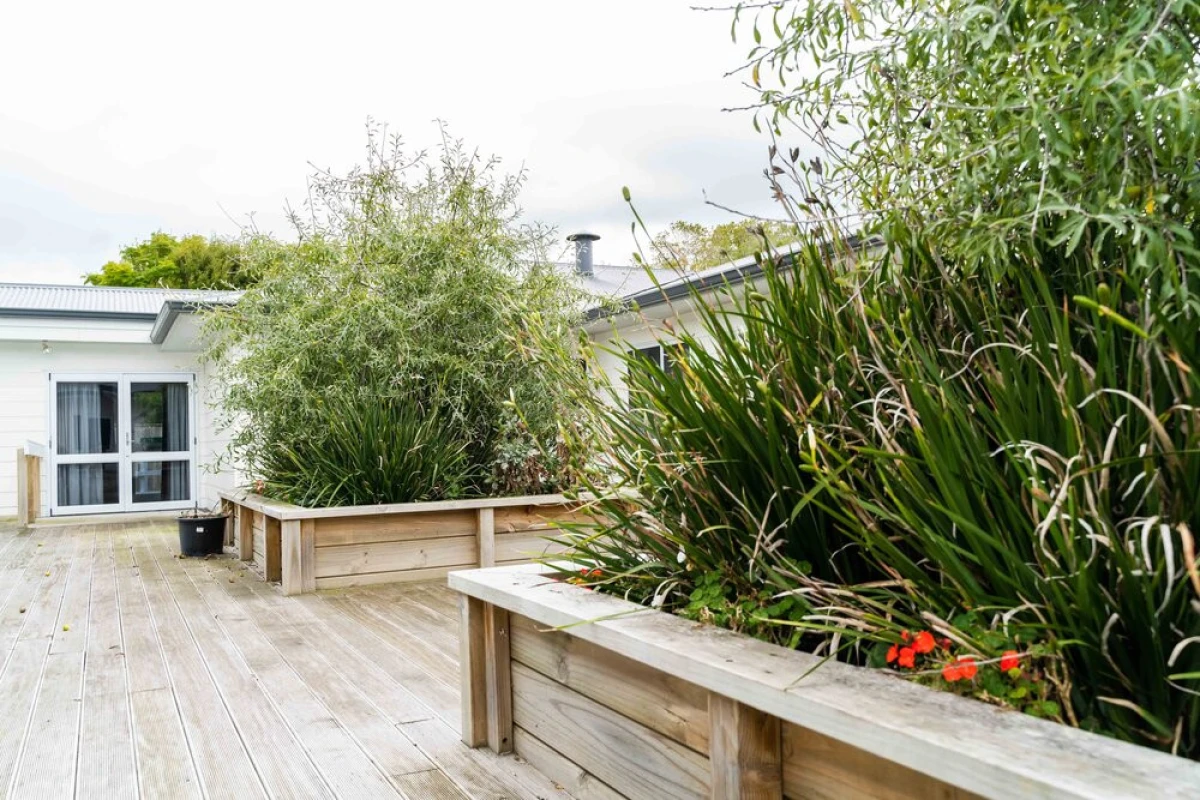 promisia-nelson-street-4623