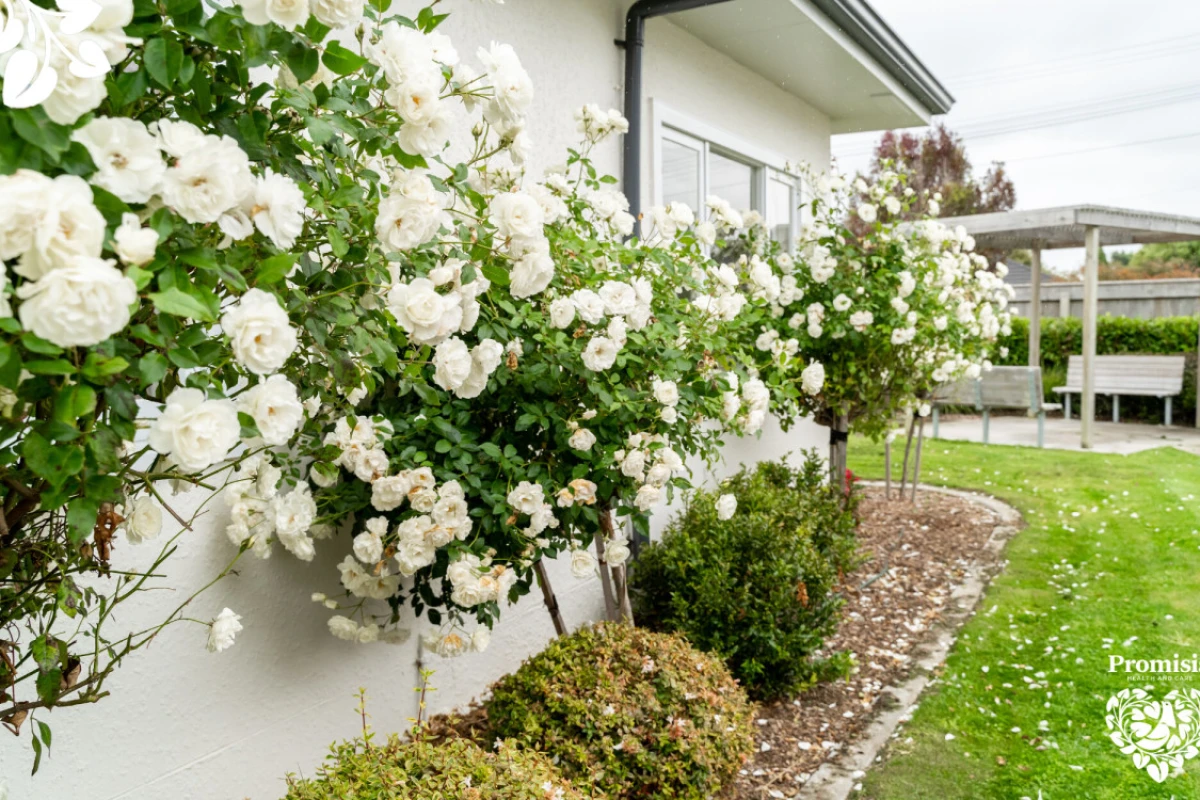 promisia-nelson-street-4638