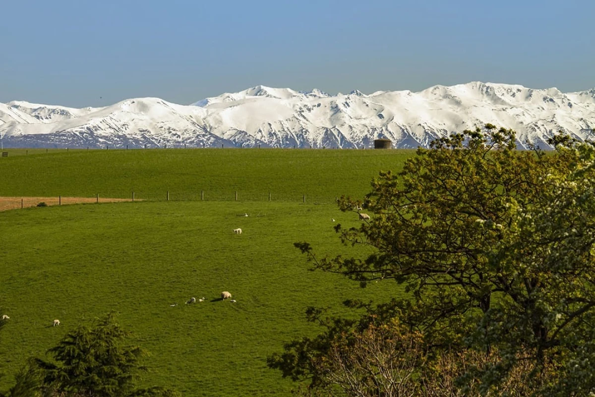 radius-elloughton-gardens-3035