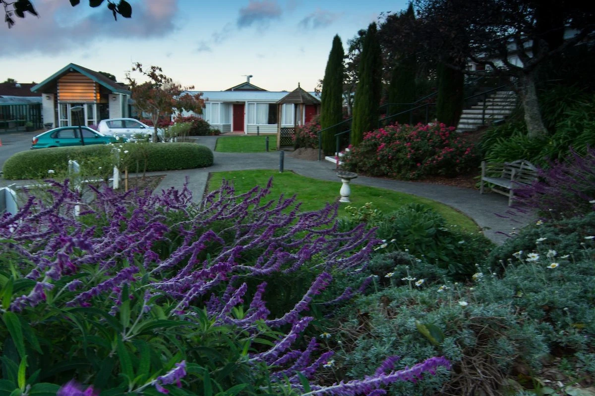 radius-karori-village-6370
