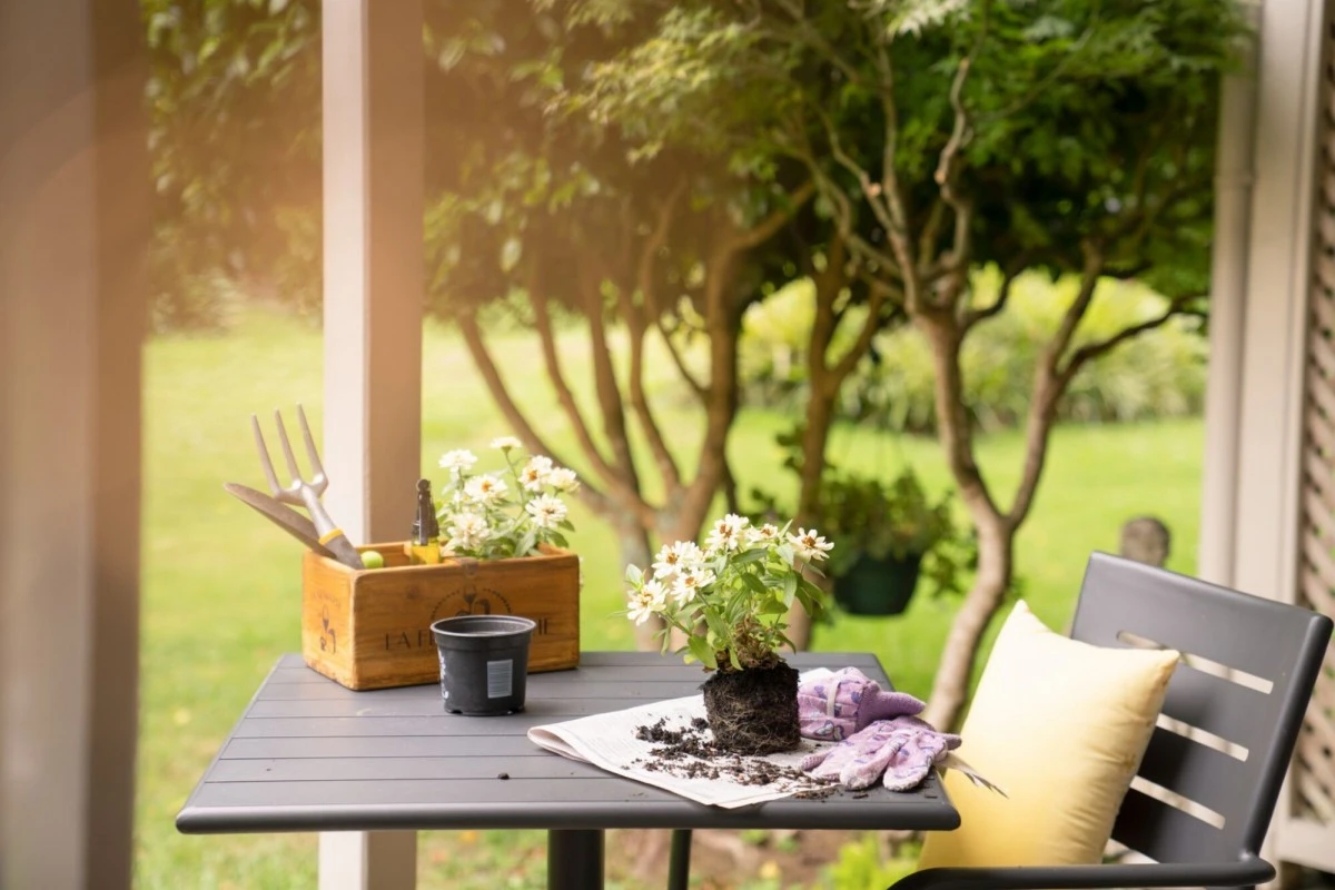 remuera-gardens-12634