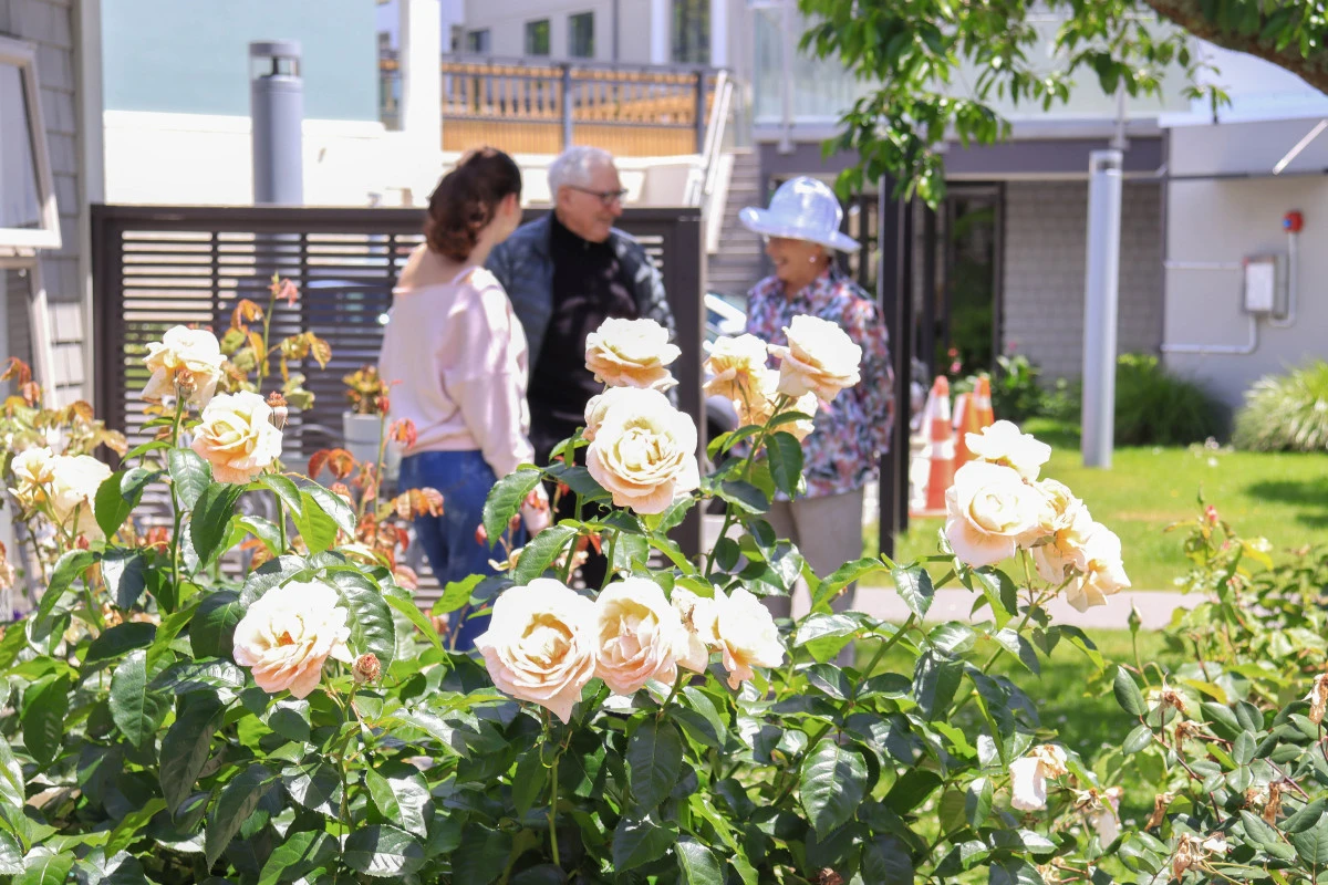 remuera-gardens-13429