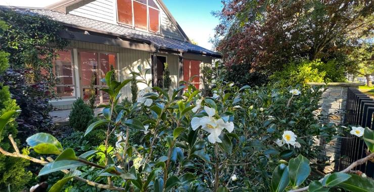 remuera-gardens-types-of-home-4851