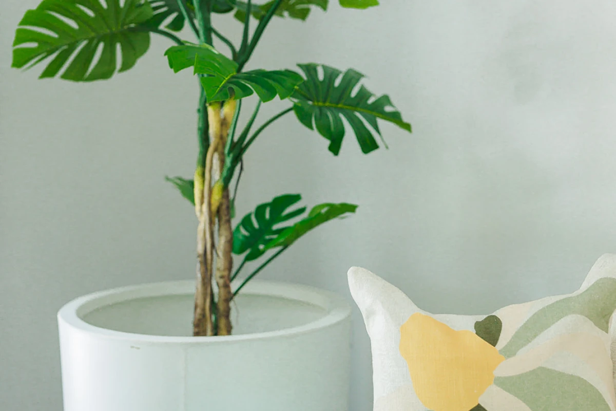 rosebank-lifecare-5988