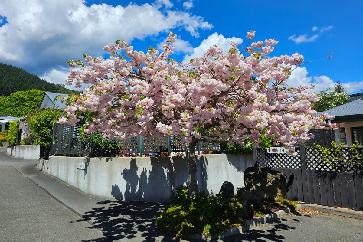 roundhay-retirement-village-9055