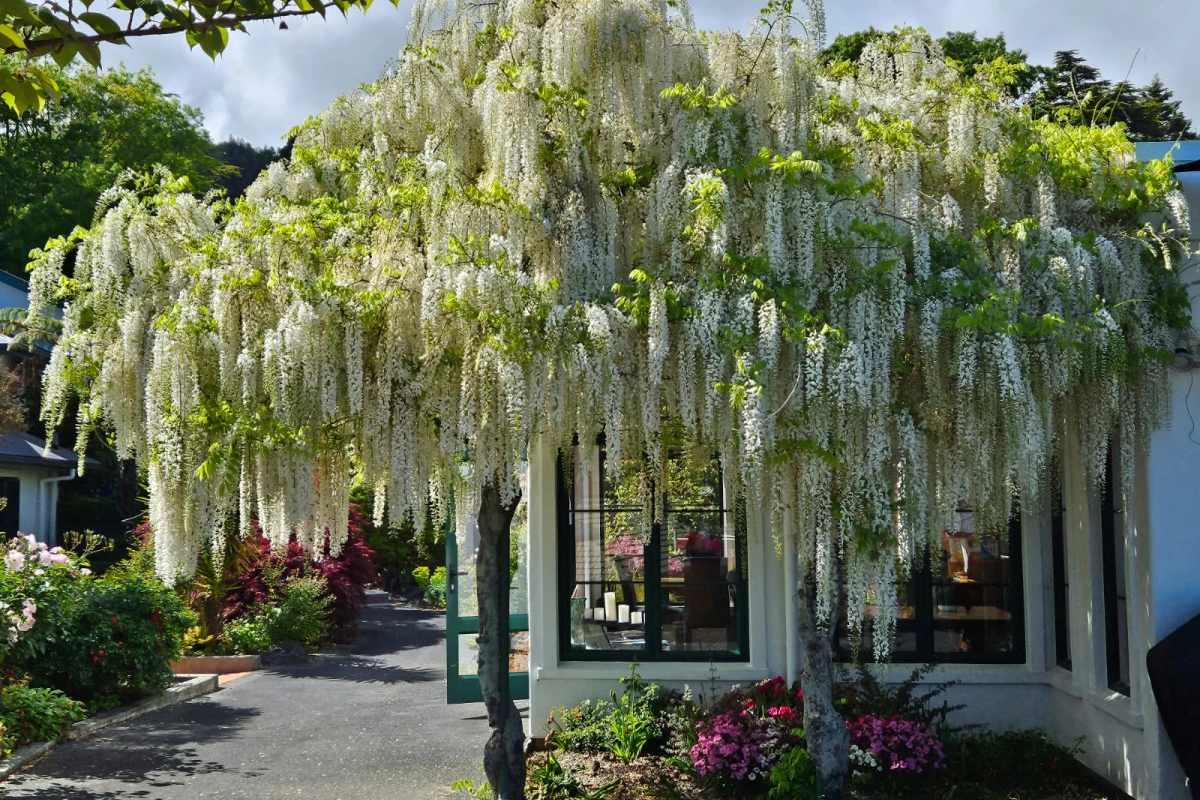 roundhay-retirement-village-9056