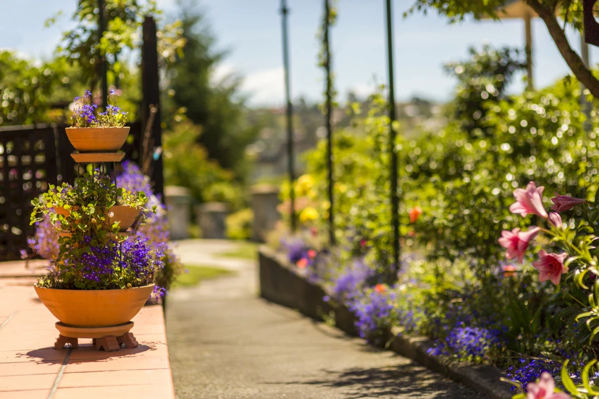 roundhay-retirement-village-9076