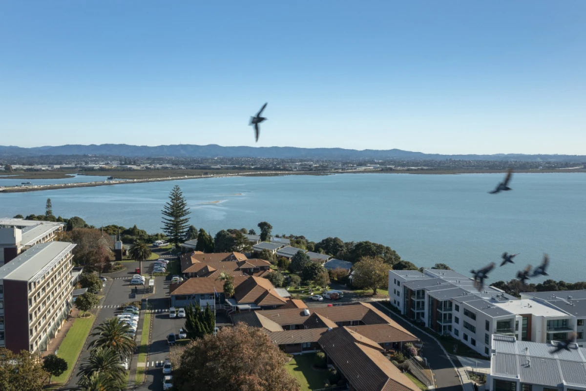 selwyn-village-point-chevalier-8156