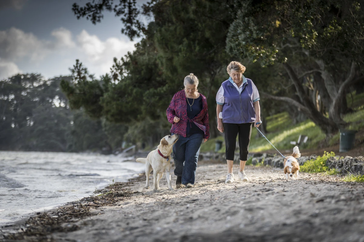 selwyn-village-point-chevalier-8163