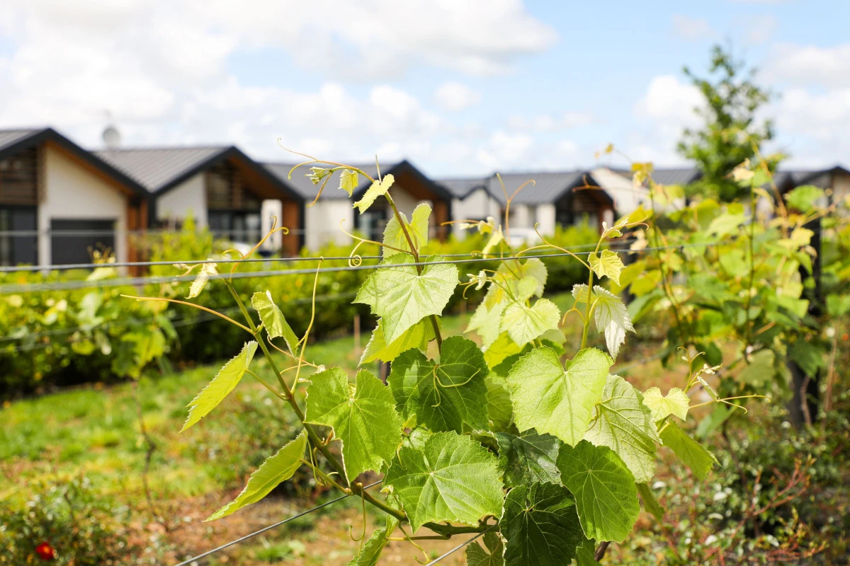speldhurst-country-estate-tests-11615