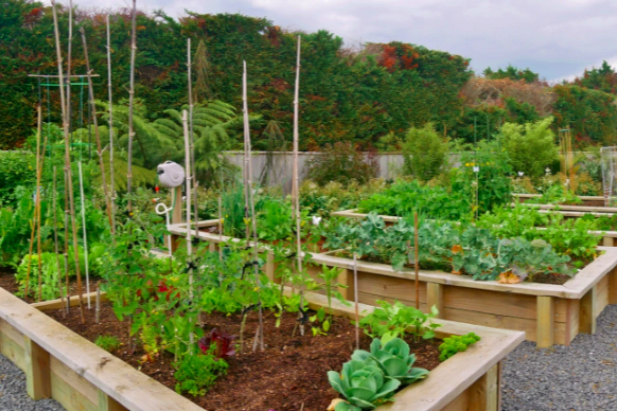 summerset-at-karaka-6296