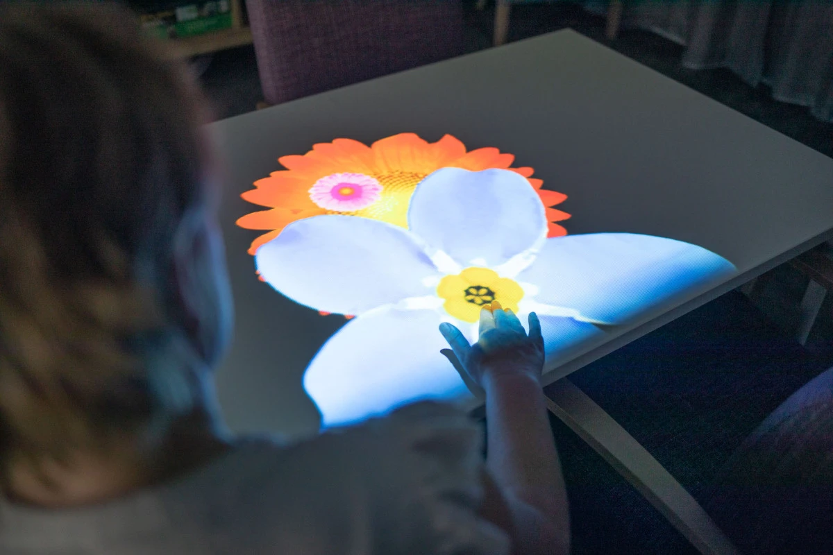 summerset-boulcott-5246