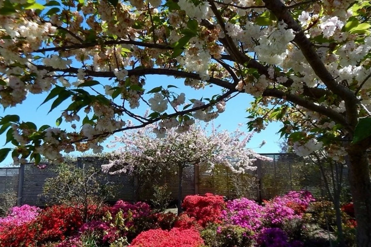 summerset-by-the-lake-taupo-9