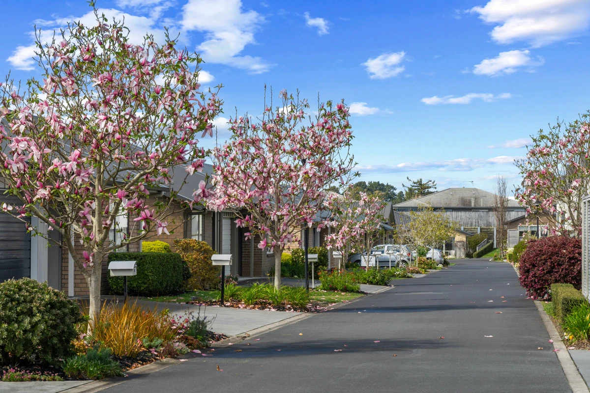 summerset-down-the-lane-hamilton-8901