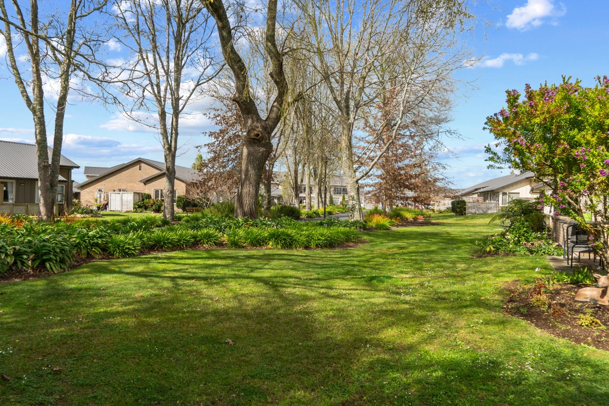 summerset-down-the-lane-hamilton-8902