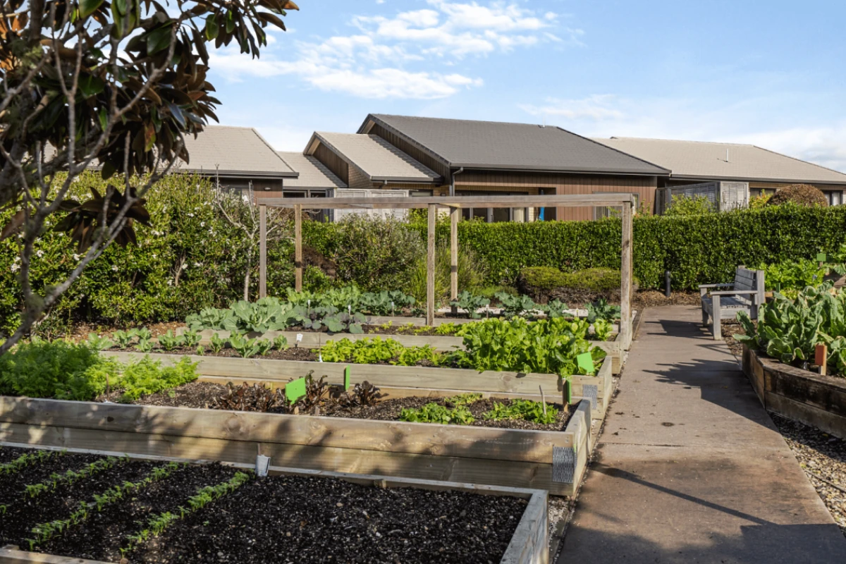 summerset-falls-6232