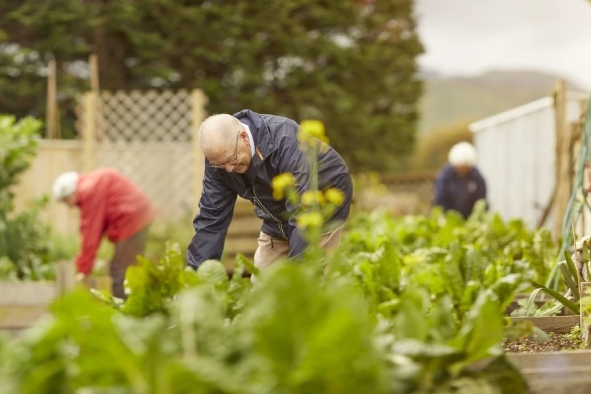 summerset-in-the-bay-napier-4