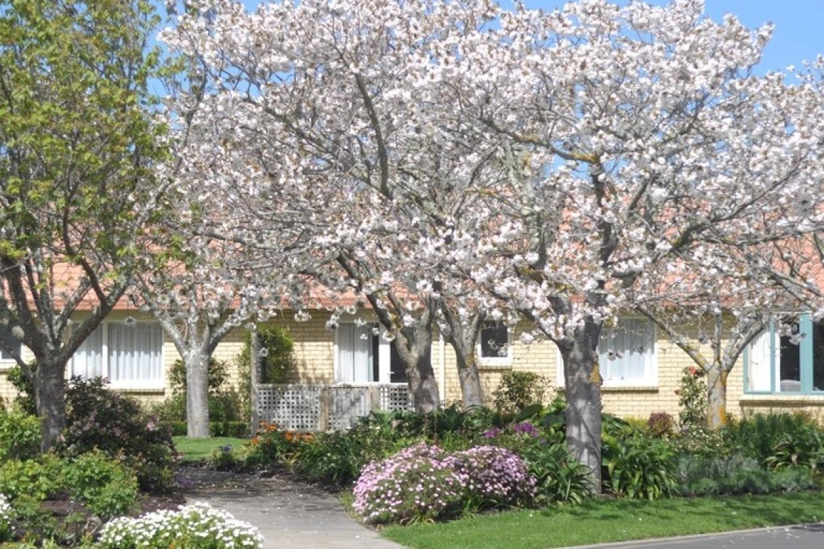 summerset-in-the-river-city-wanganui-2