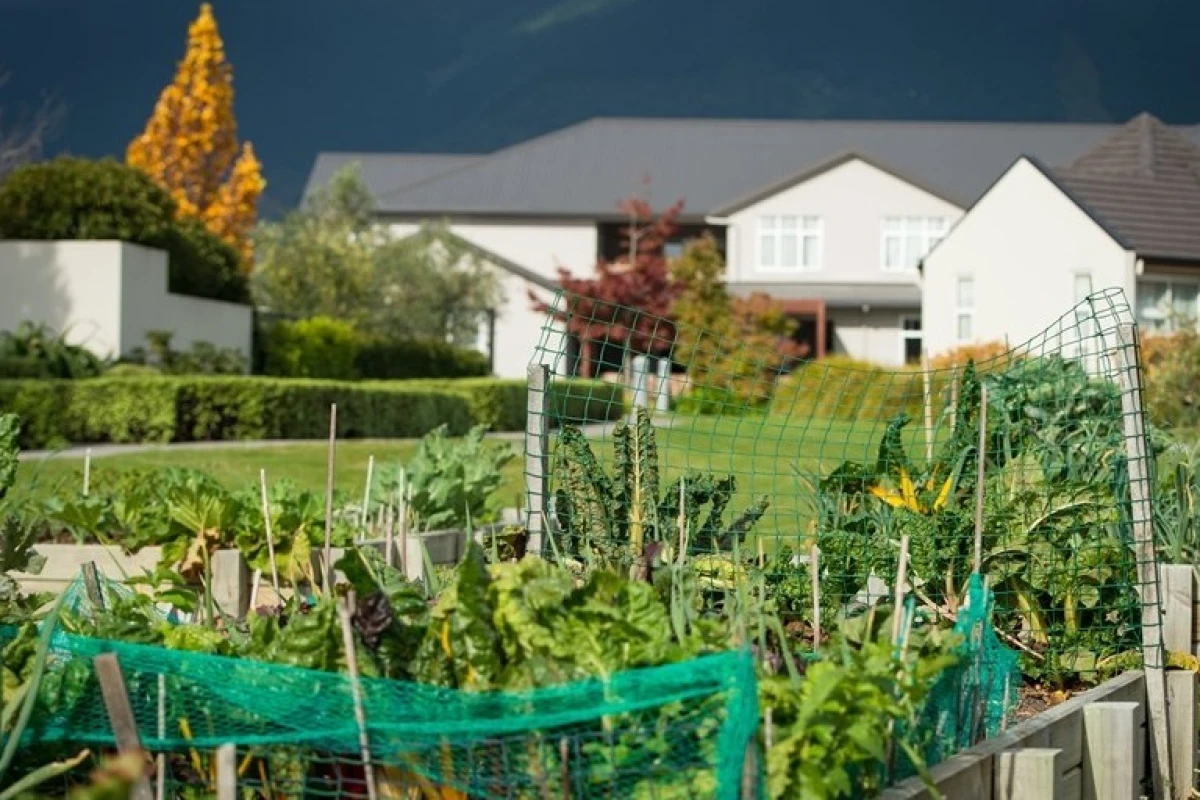 summerset-in-the-sun-nelson-3