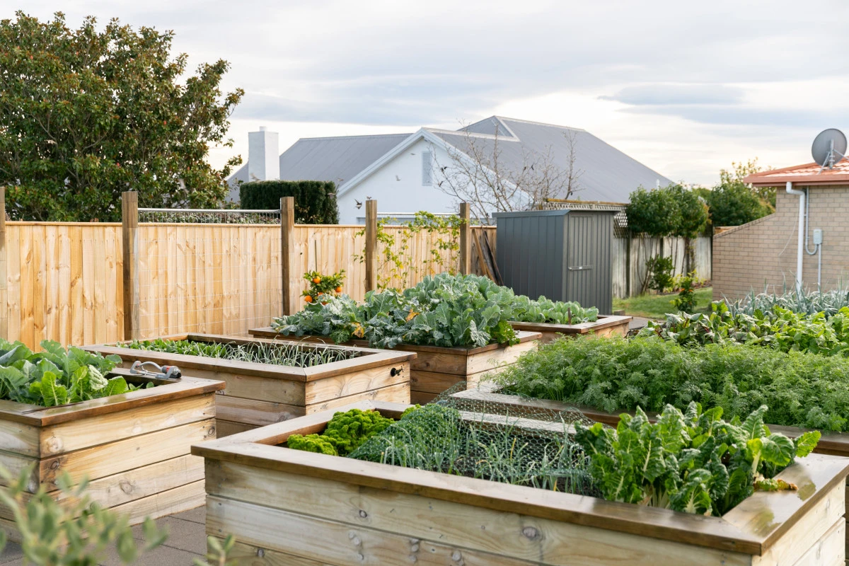 summerset-in-the-vines-havelock-north-14338