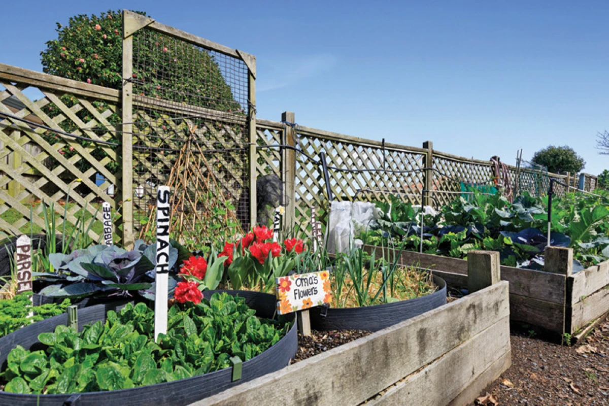 summerset-on-the-coast-paraparaumu-7430