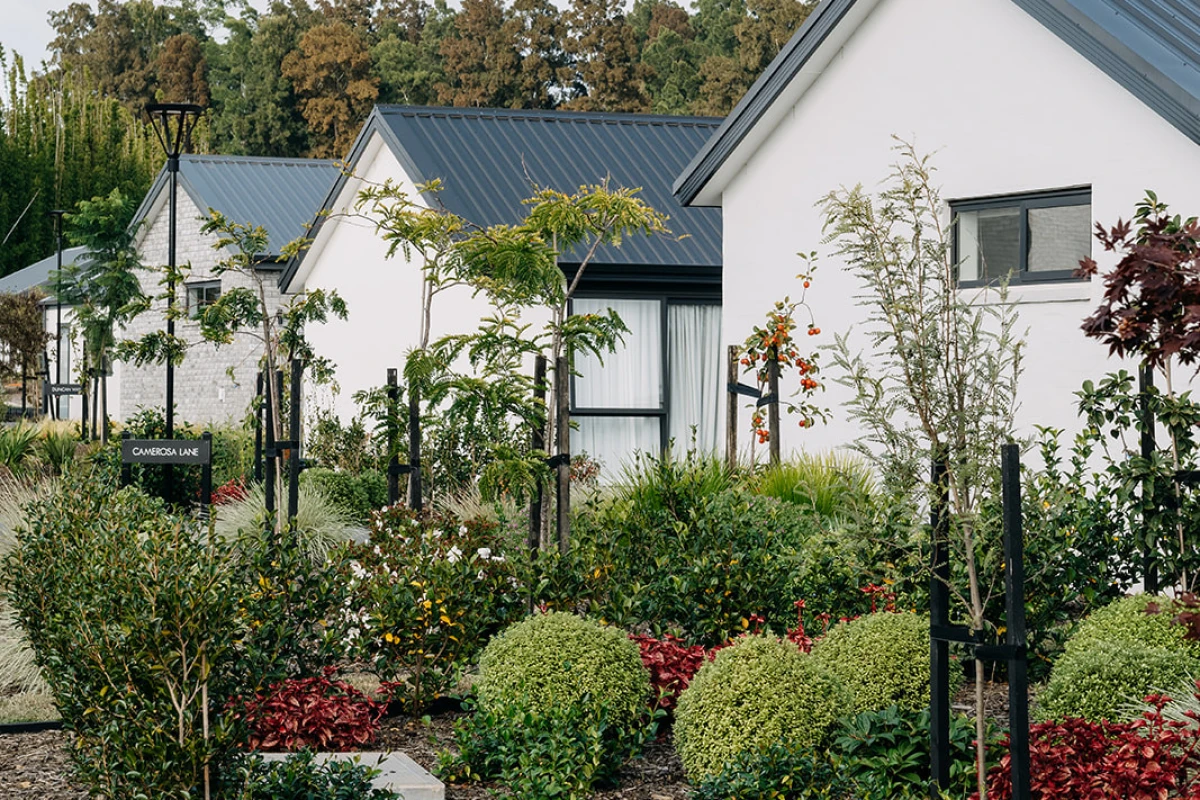 te-puna-waiora-arvida-11113