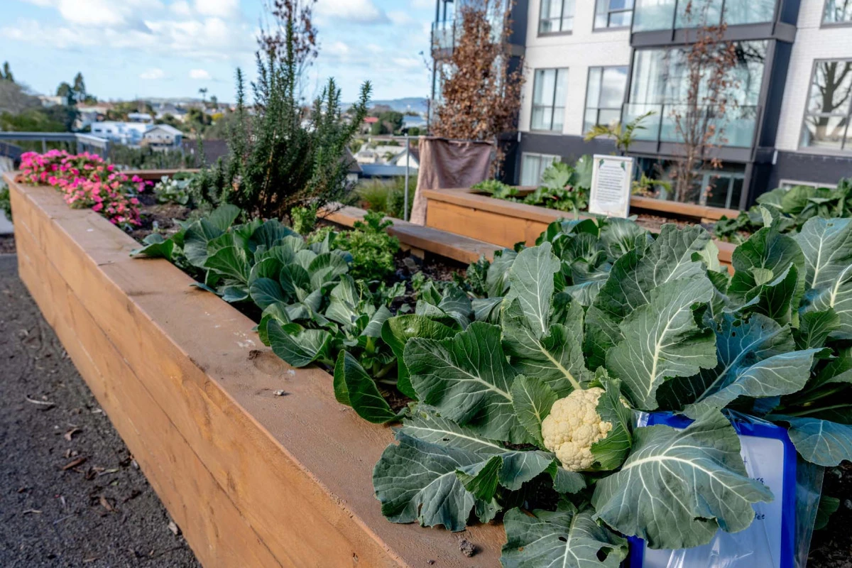 the-bayview-retirement-village-8801