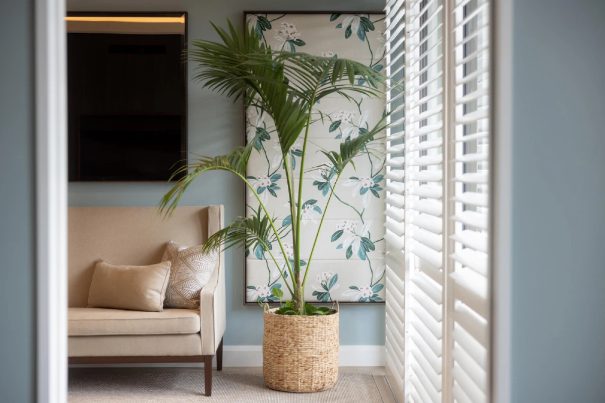 the-foundation-parnell-10492