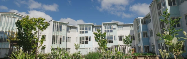 the-grove-orewa-12728