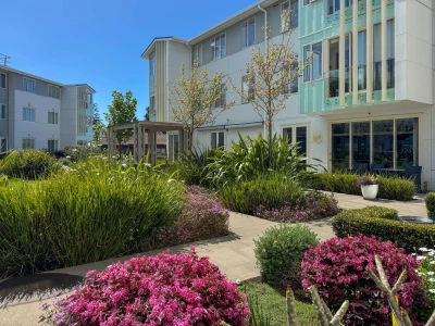 The Grove Orewa