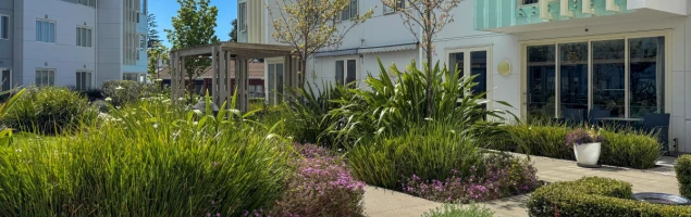 the-grove-orewa-14583