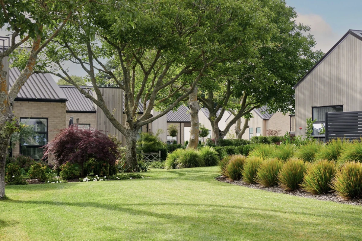 the-hill-pukekohe-12608