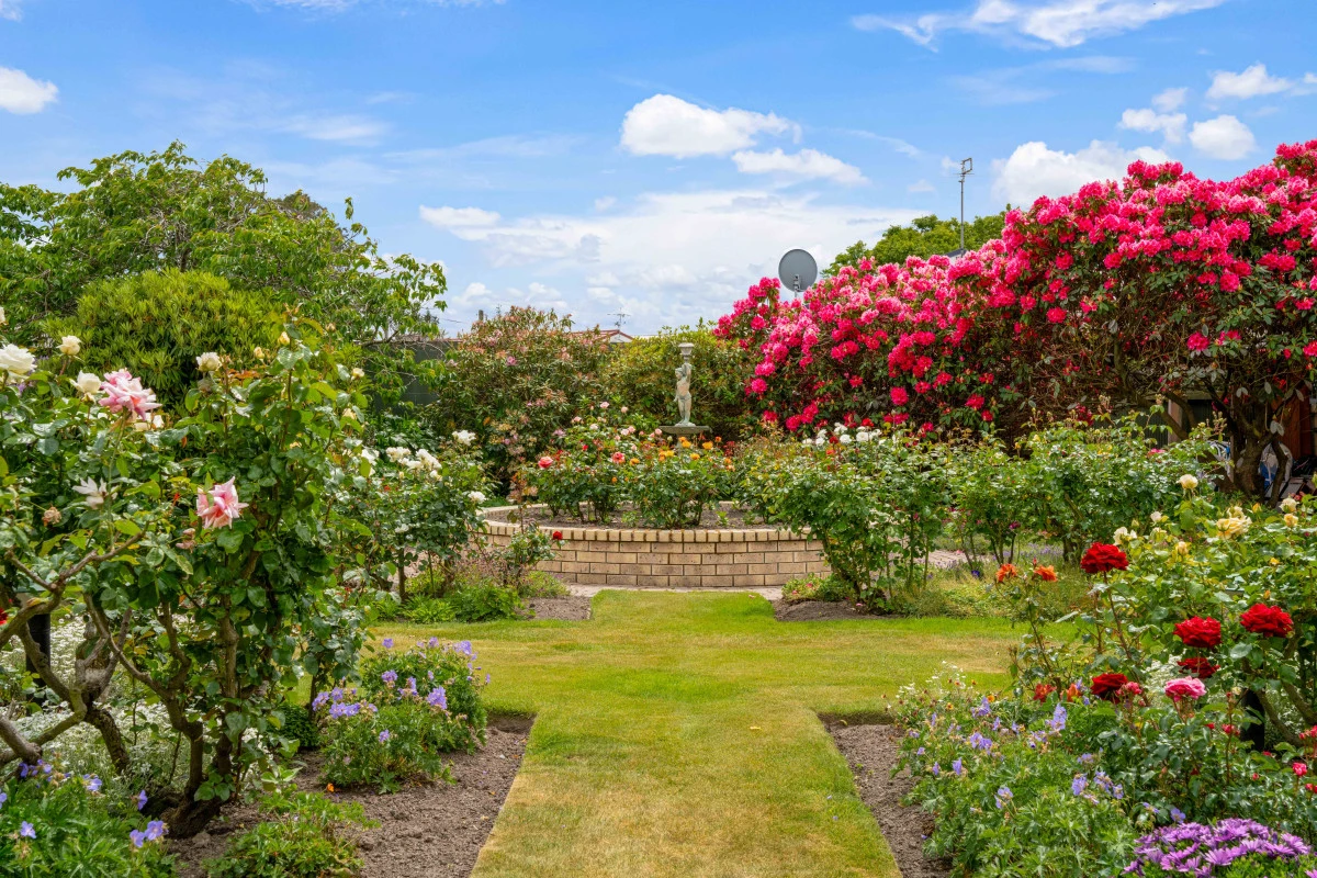 the-oaks-care-suites-6234