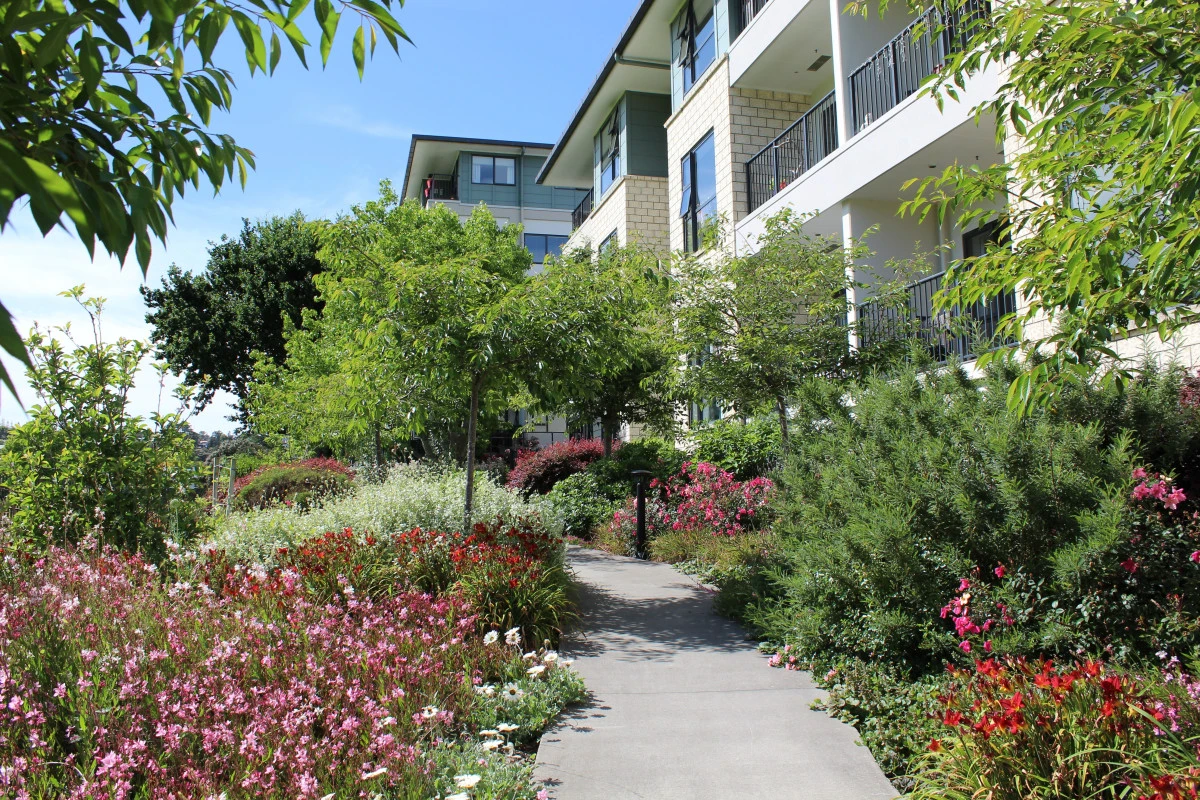 the-orchards-metlifecare-8185