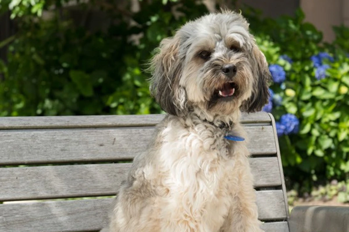 the-poynton-metlifecare-17