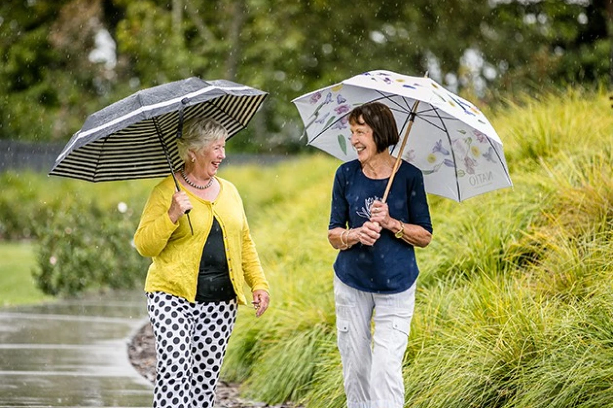 the-vines-at-bethlehem-8