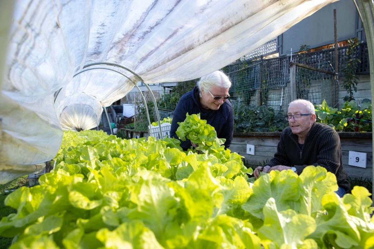 waitakere-gardens-metlifecare-6520