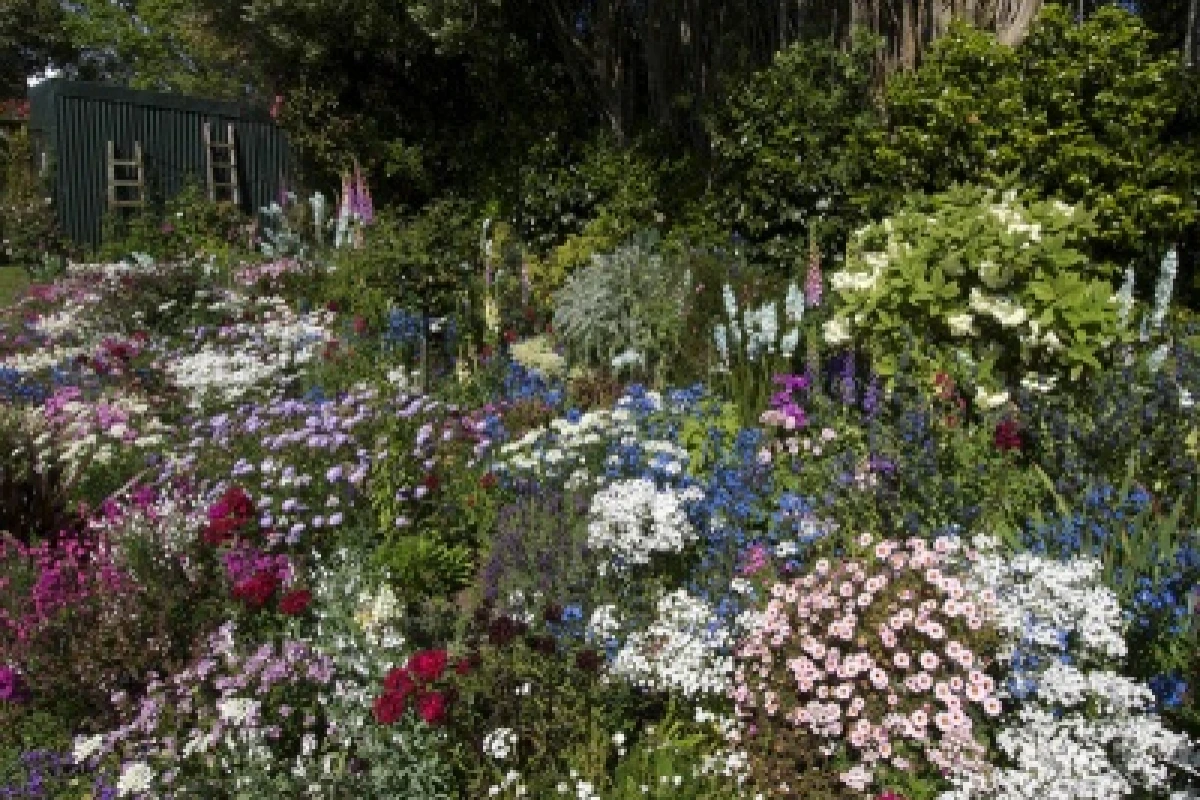 waitara-masonic-village-3