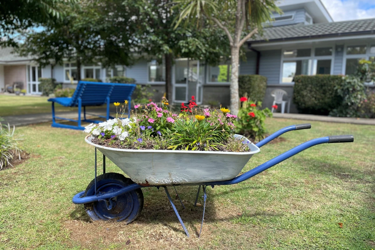 whangarei-park-village-9441