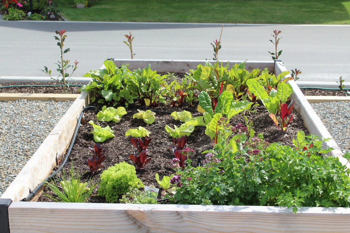 woodcroft-estate-9863