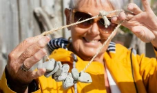 alden-ranburn-new-build-villa-48821