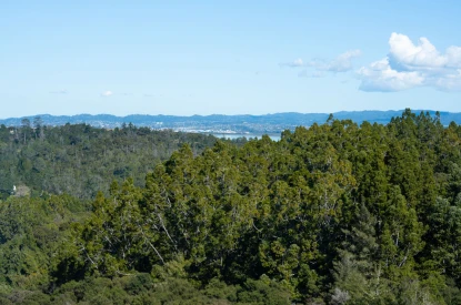 bert-sutcliffe-retirement-village-peaceful-living-41333