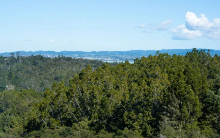 bert-sutcliffe-retirement-village-peaceful-living-41333