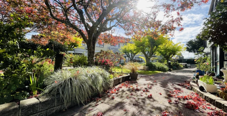 edgewater-village-metlifecare-ground-floor-living-in-a-garden-setting-50664