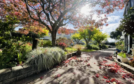 edgewater-village-metlifecare-ground-floor-living-in-a-garden-setting-50664