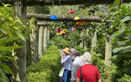 everil-orr-living-mount-albert-brand-new-east-facing-apartment-40372