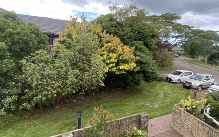 greenwood-park-metlifecare-central-two-bedroom-apartment-46195